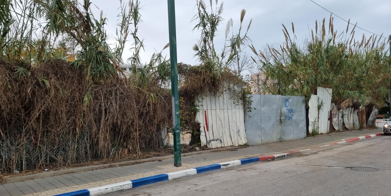 WhatsApp Image 2022-01-05 at 10.21.46 AM.jpeg